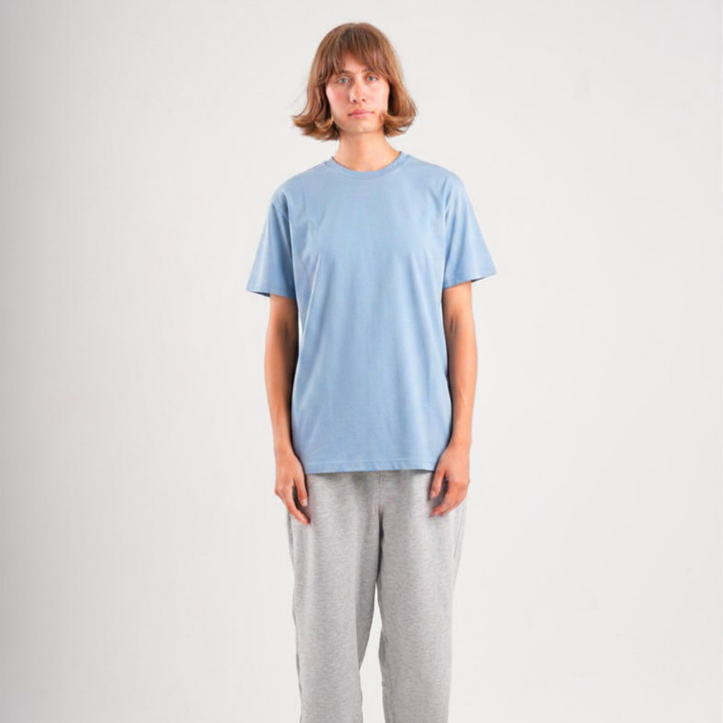 Airsim Regular Tee